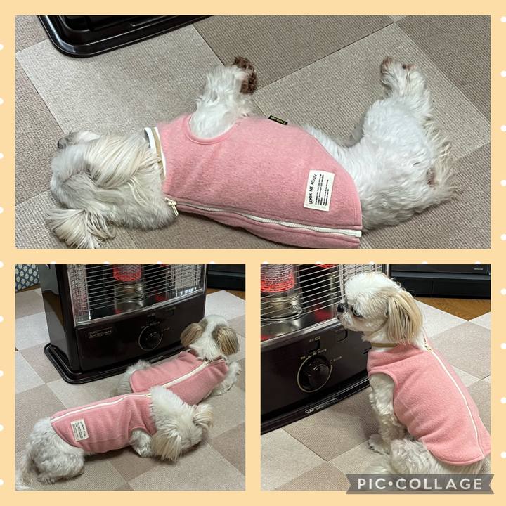 5cd9716f 1d1c 444c 9f3f b36159a3ae8a 1699749398234