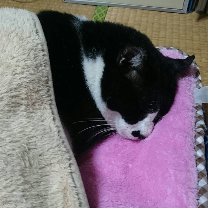 5cd9e53d 5b19 428e 8d4c 6938a8106c5b 1508662977628