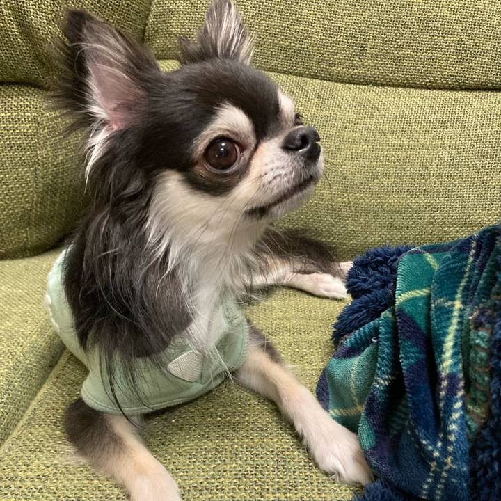 5cd9edcb ad26 4ca7 82b4 afac6858fde9 1667741523748