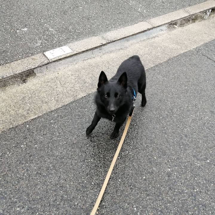 5cd9f12d 3259 4c6f b536 2db690151294 1611449377489