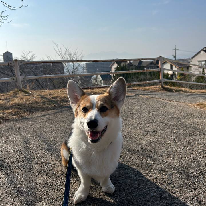 5cd9f659 1e86 46a4 8bad efee2bd8ffd0 1768536206386