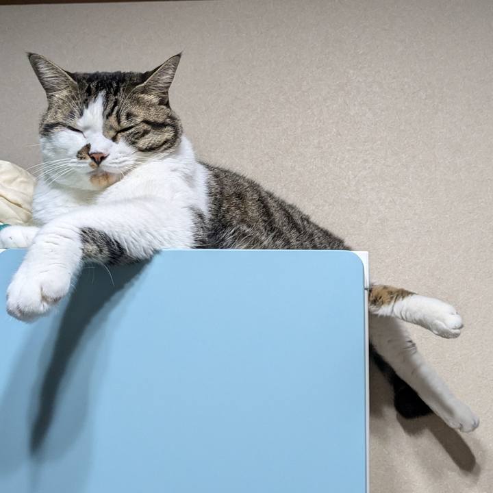 5cd9fa01 eb4f 4d28 a959 86eba7005391 1724453387390