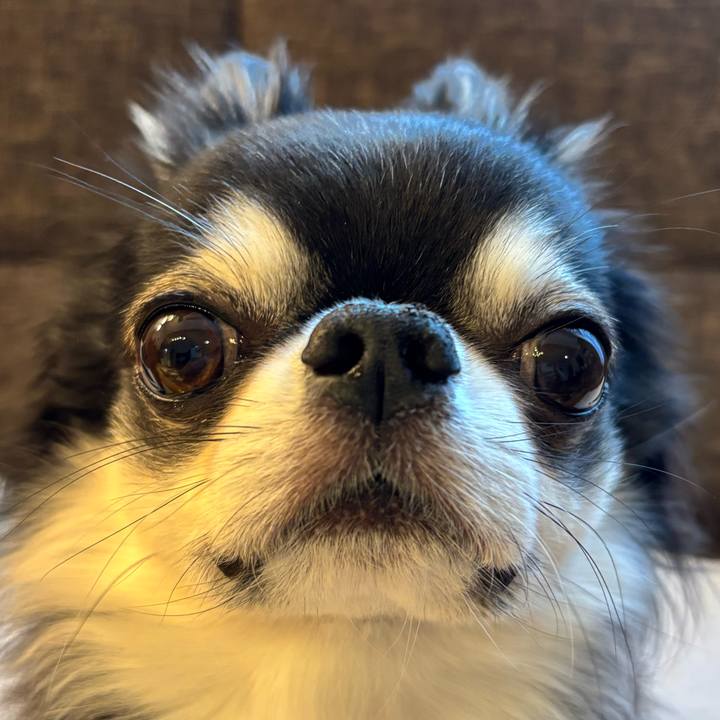 5cd9fb6c 04e5 4cd1 8f42 9cf955ea39e2 1763250122779