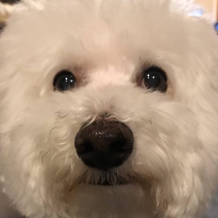 5cda42f8 44a5 47b3 99ef bacee48735b3 1571652269029