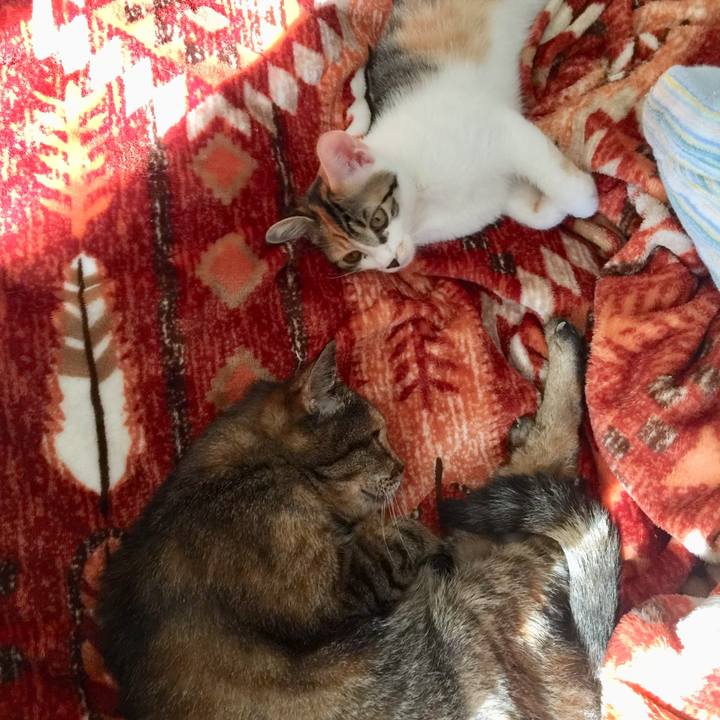 5cda664c 9a2b 47e8 bb25 4cd7c3991cc0 1649845292004