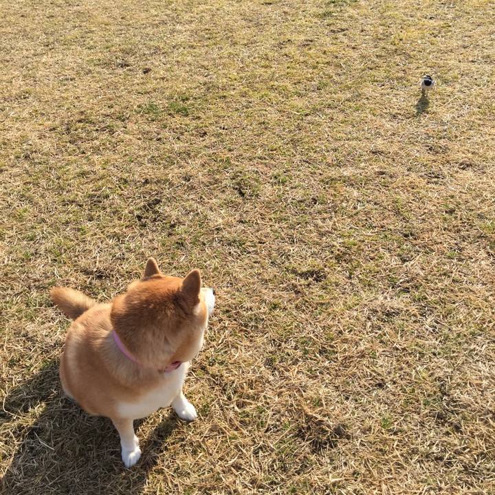 5cda8554 781e 4f5e a513 eb82820a533f 1612830953169