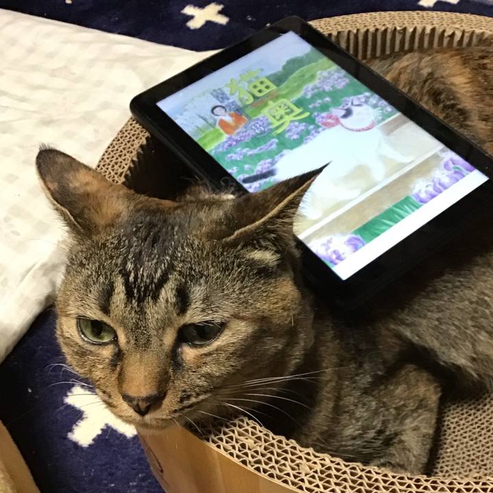 5cda8d09 9b91 4353 93f1 56214c8e55ab 1713868730548