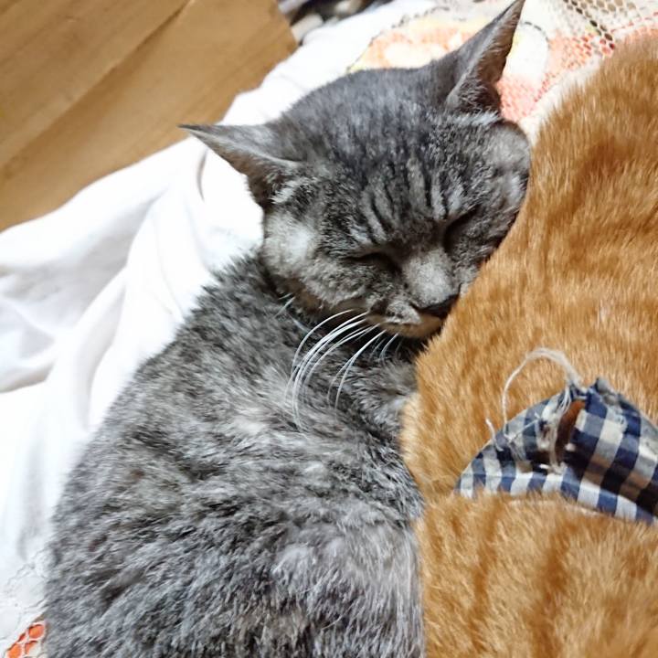 5cda9217 a289 4e7e b4d5 1171b4aba62c 1573995503910