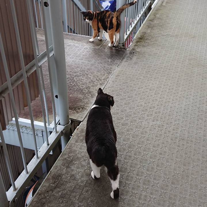 5cda97d5 4119 4645 9502 22710369faf4 1592947841021