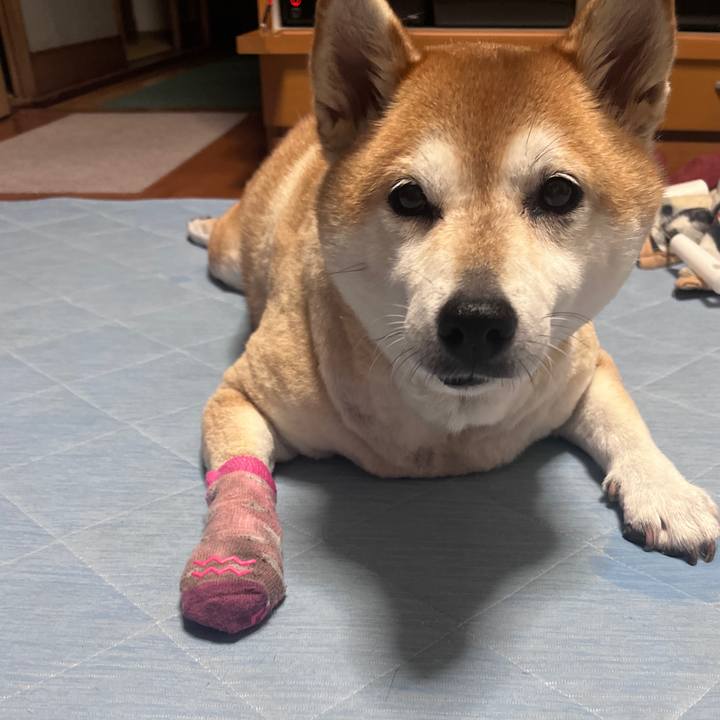 5cdaa260 f179 4a45 aa56 a77ea043ba04 1722766667598