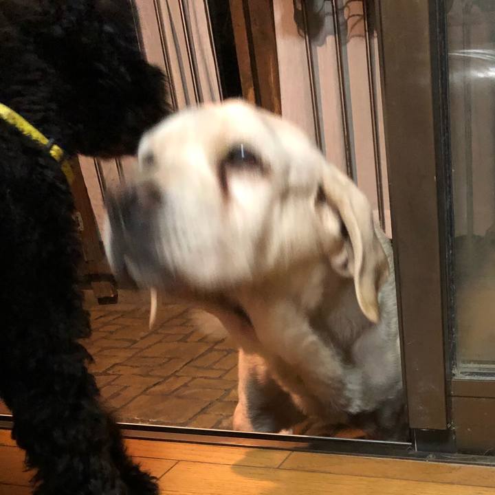 5cdaa742 74cb 4e8b 8dfd 33769624b69c 1508336023119