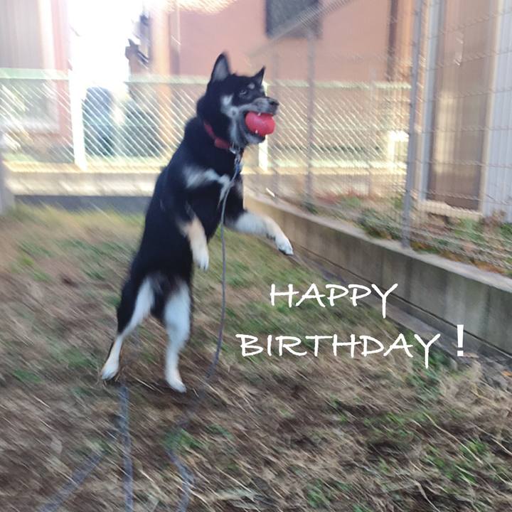 5cdac757 b7ec 4271 afb5 0c6af2ea60e8 1543548467196