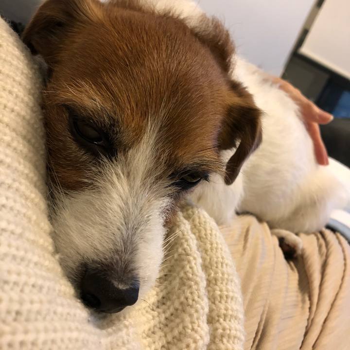 5cdad121 f7fc 415d b4e5 cd68510faabc 1586175862067