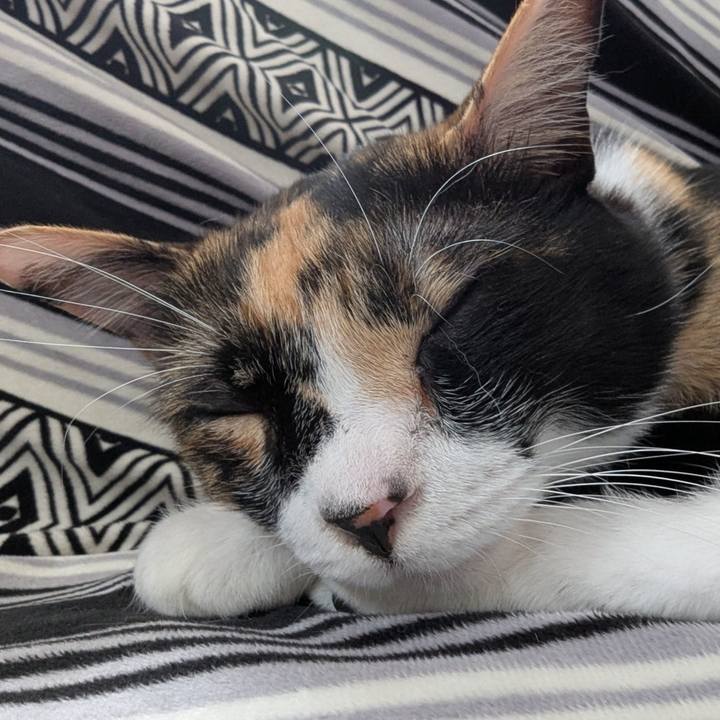 5cdadea1 f5da 4331 8597 0e5f8cf792b6 1753170114215