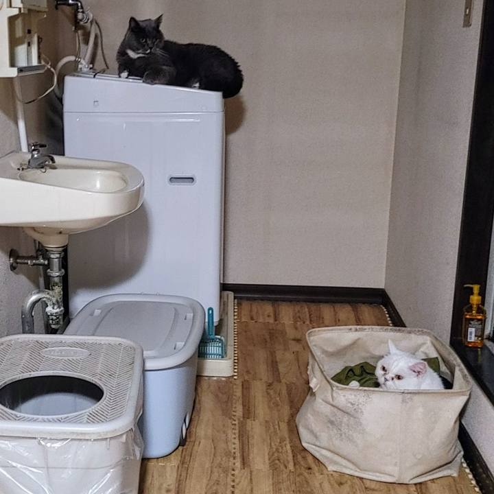 5cdae10d e298 4e67 b49b 60a01c3685c8 1726571593455