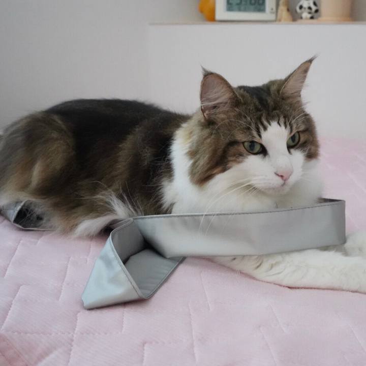 5cdaf558 c967 43bb bc74 7e37abd5d13e 1633839410562