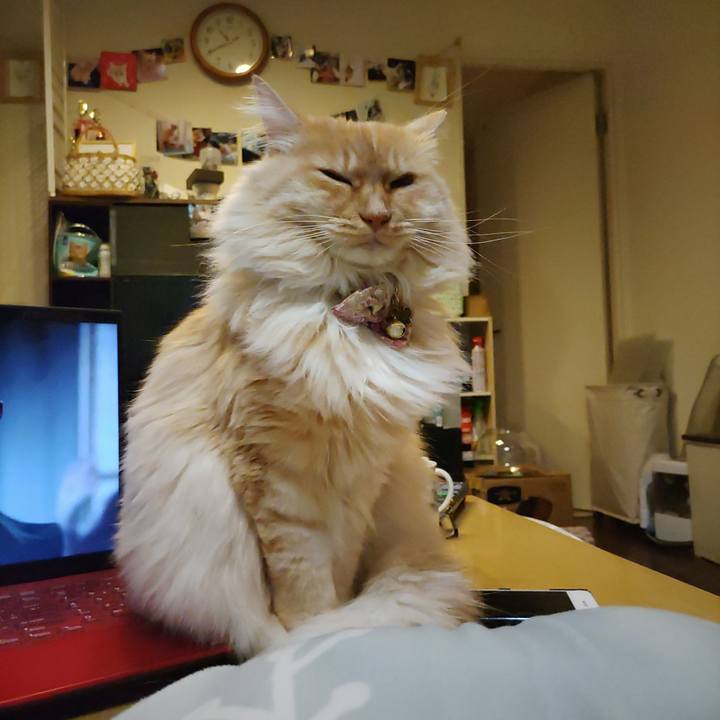 5cdaf81e 207e 4655 8362 18eba679fa4c 1672321340730