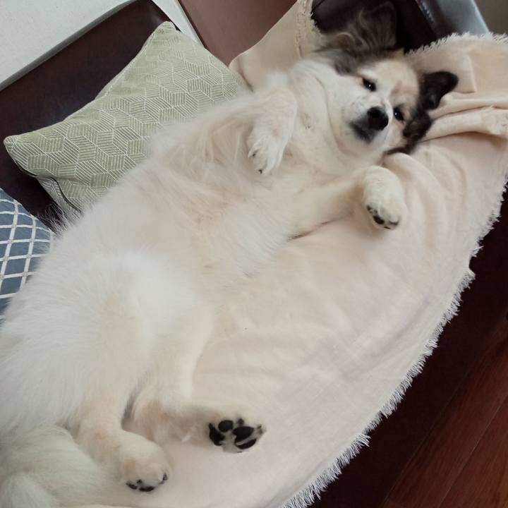 5cdb1d21 a61e 4e55 b51f 0a6bf0a82188 1648981798646