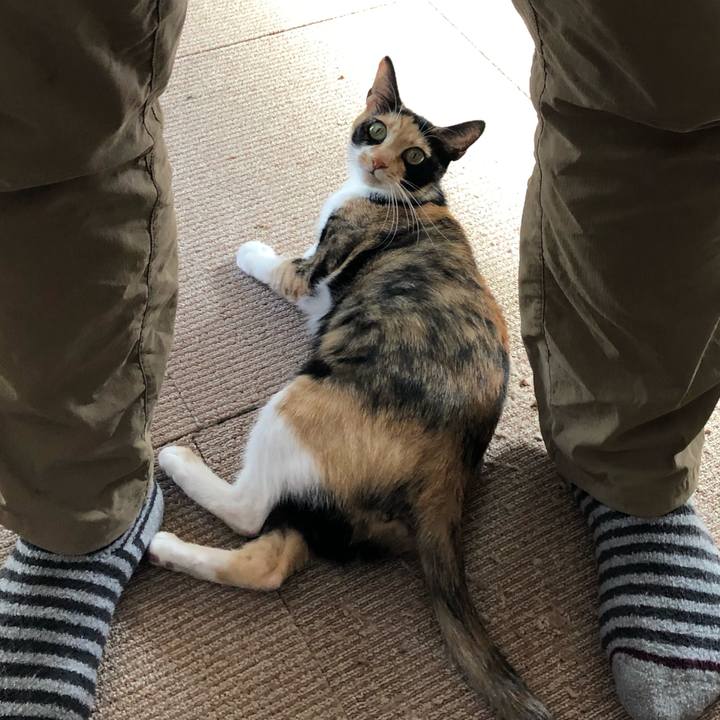 5cdb2006 9321 43d0 b731 378f1da9c9aa 1552026445904