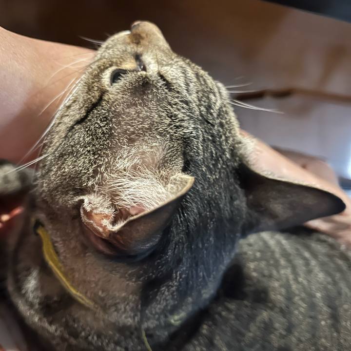 5cdb5c6d 3162 44c4 9e66 7f6e004305bd 1766824600623