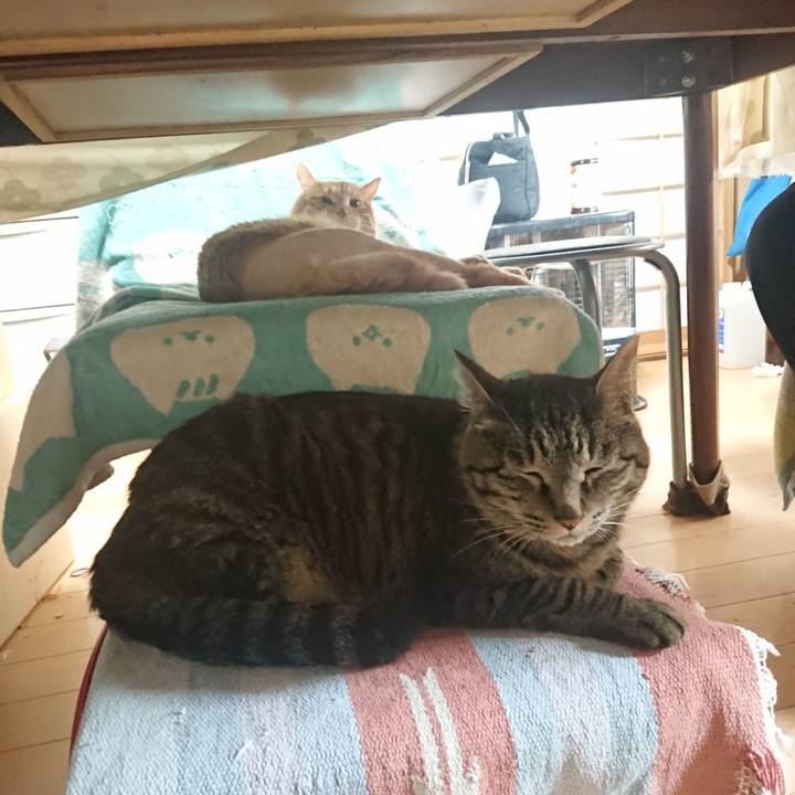 5cdb6812 f569 4d16 813e 490f75a7c7f6 1654730717742