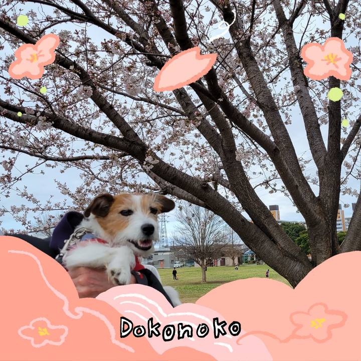 5cdb793b 7108 4103 8e93 f9d2ea149680 1775216351807