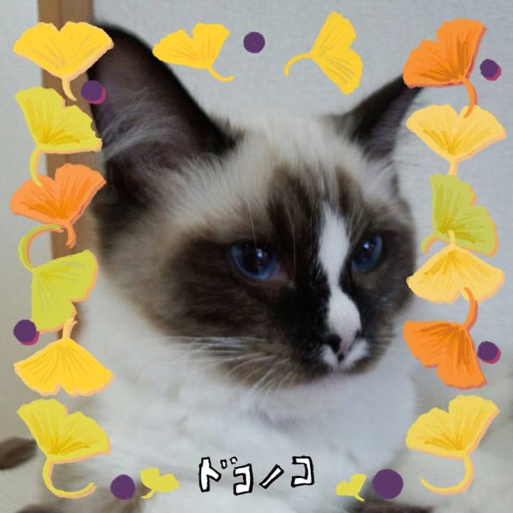 5cdb899a 5a59 4156 bebc fe2a906851cb 1729337715860