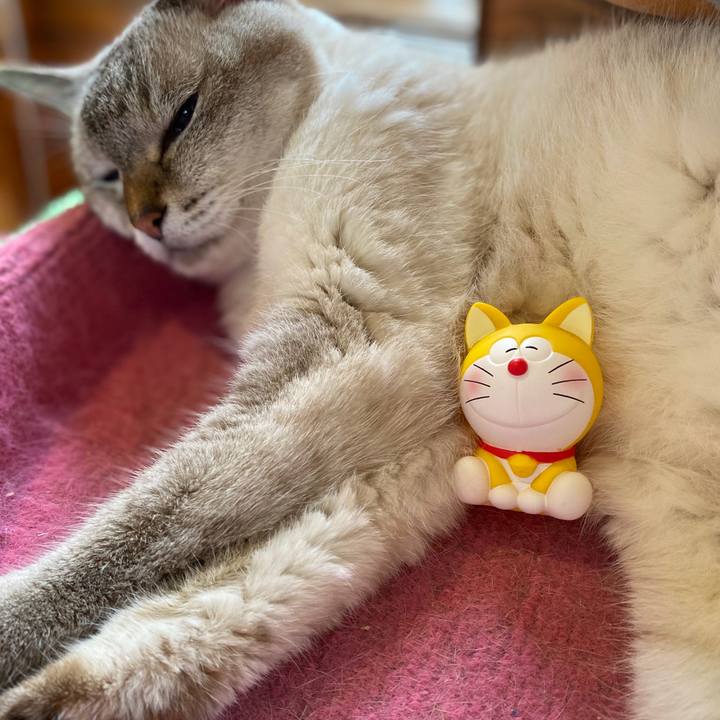 5cdb8a72 4222 4bdc 8f56 79a6b76b6a36 1599093921787