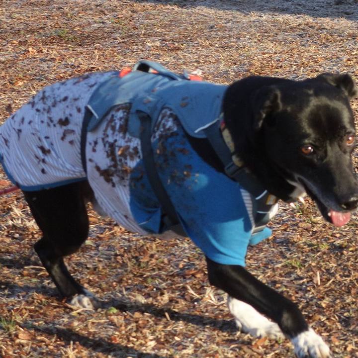 5cdba730 fb61 47a3 93ce 36931f032840 1704847227648