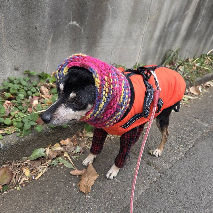 5cdbe677 92ae 4776 bddf 59ef3e33b0fb 1770428020148