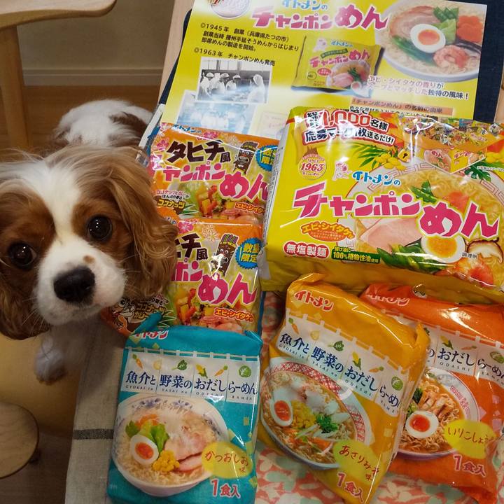 5cdbee16 98cb 4271 a2bf 1fa706848c13 1601469220703