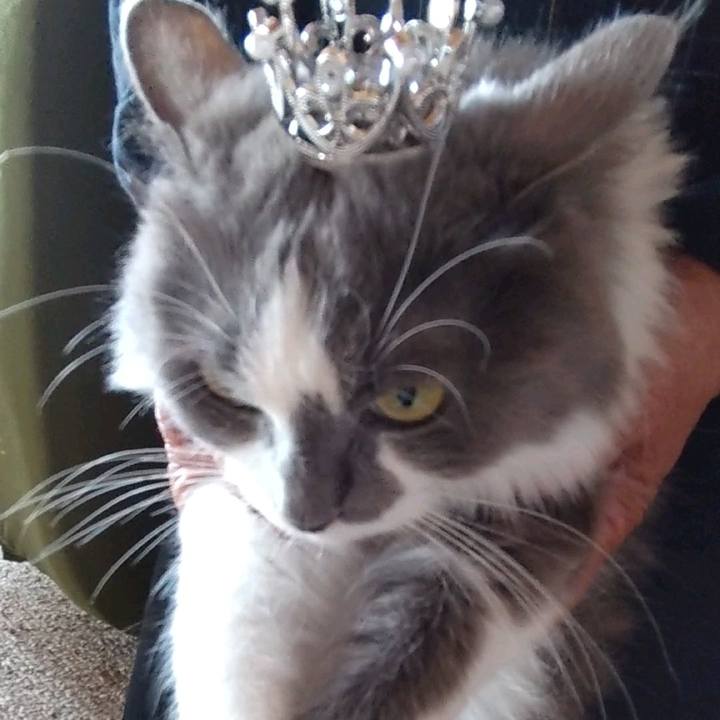 5cdc0bf7 c56e 4f68 a7c2 29e47963cf84 1666341628306