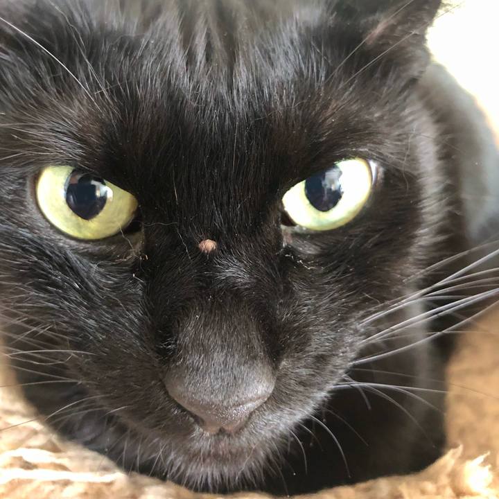 5cdc605a fcbb 4ca9 a4df 996c7f6e922c 1566616738859