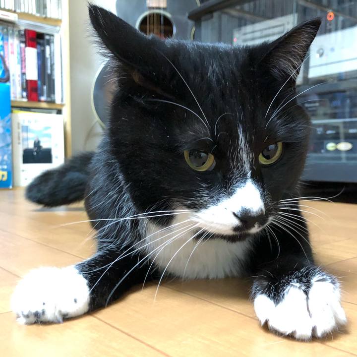 5cdc6a7f 8c64 45e4 8fe4 f5a8a03f5de6 1615781772053