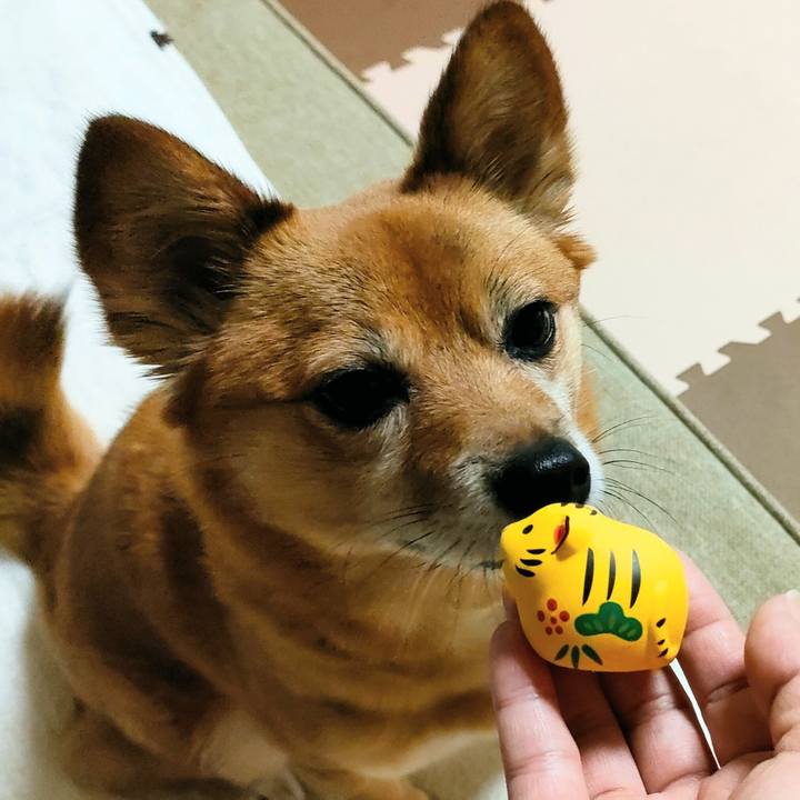 5cdc6c88 53eb 4246 87bd 6ac5bcecdd63 1641817113328