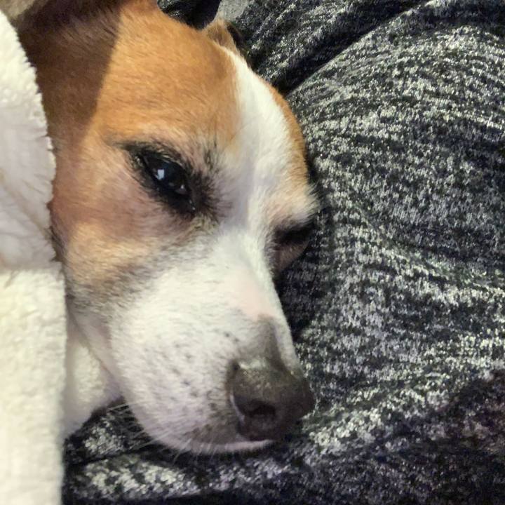 5cdc6eb9 06d7 4969 8e40 37ea0b6b869b 1615278924318