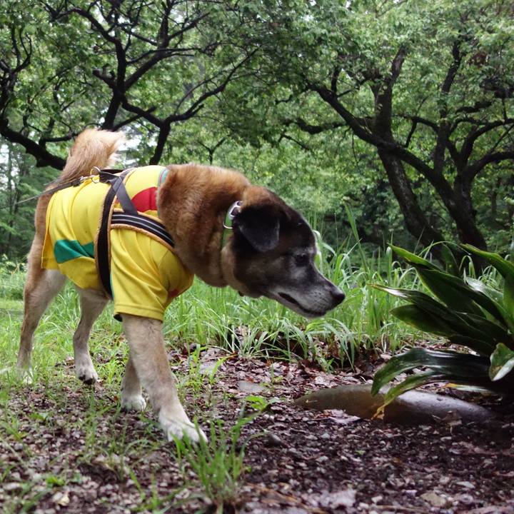 5cdcdac6 fe60 4236 9fe8 183ac3c0de9d 1561853885974