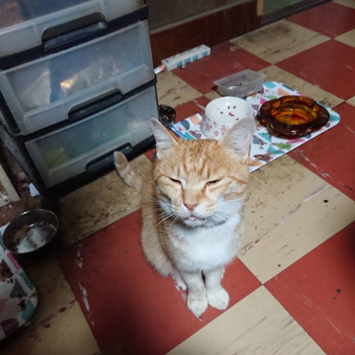 5cdd0e3b a6d4 48f1 9d04 25bb0ba726cd 1590867272238