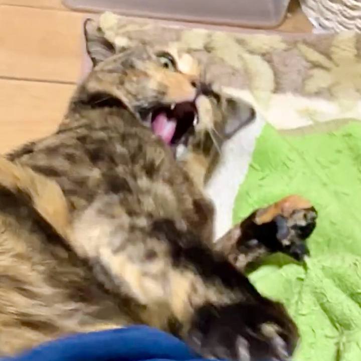 5cdd249e 918e 4931 8ffd c6eec178ceb9 1739732629938