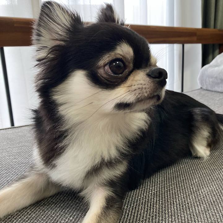 5cdd2ac7 b588 42ab a7bc ea54f48b8c30 1627688249503