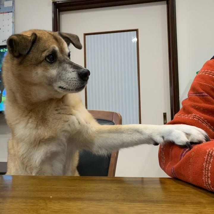 5cdd3c39 ba6d 4733 b952 903152e0d898 1637566757762