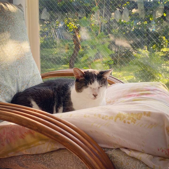 5cdd5ef1 6bdf 4351 9f21 644a7728438e 1599775963758