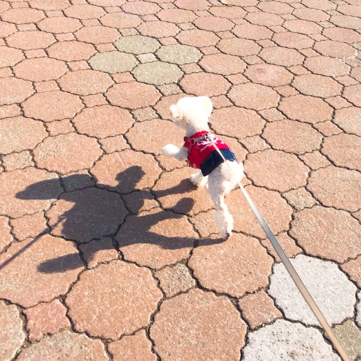 5cdd64e1 05be 4d75 916f ea1a87f7c6a9 1521413566832