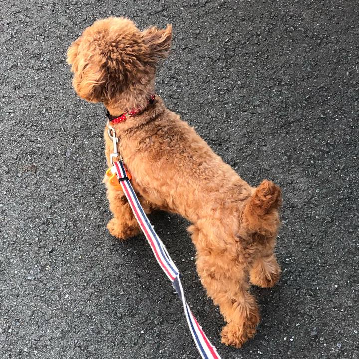 5cdd7971 d601 4f03 a45f 319eb57e7665 1568069345155