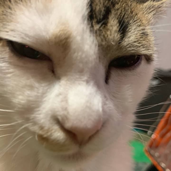 5cdd9b24 999d 4a4c b800 45d411f8934c 1606749123444