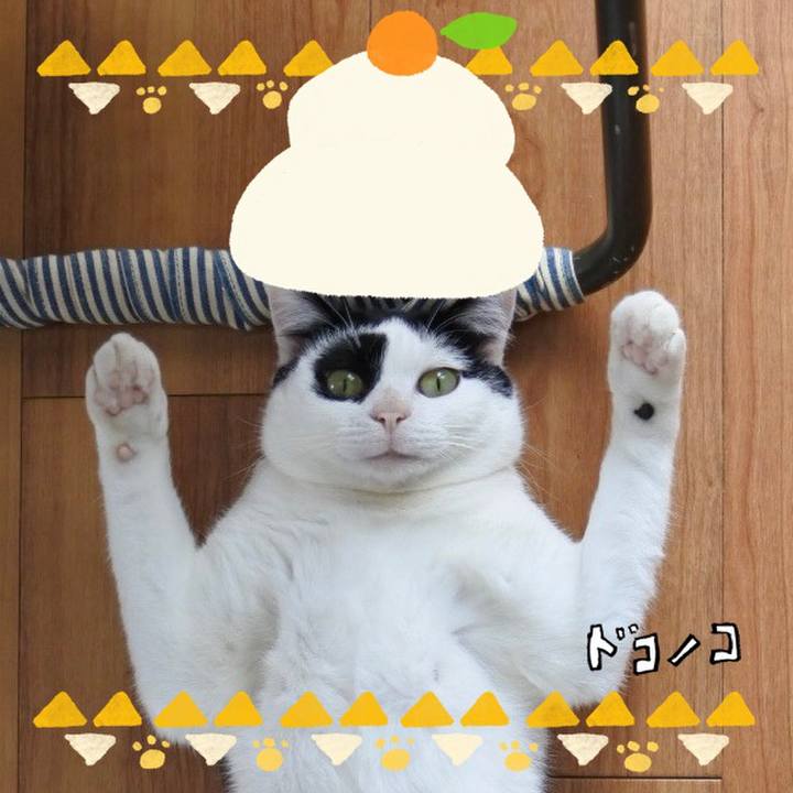 5cddb286 1d92 4385 843b 4aad1f792364 1704249606516