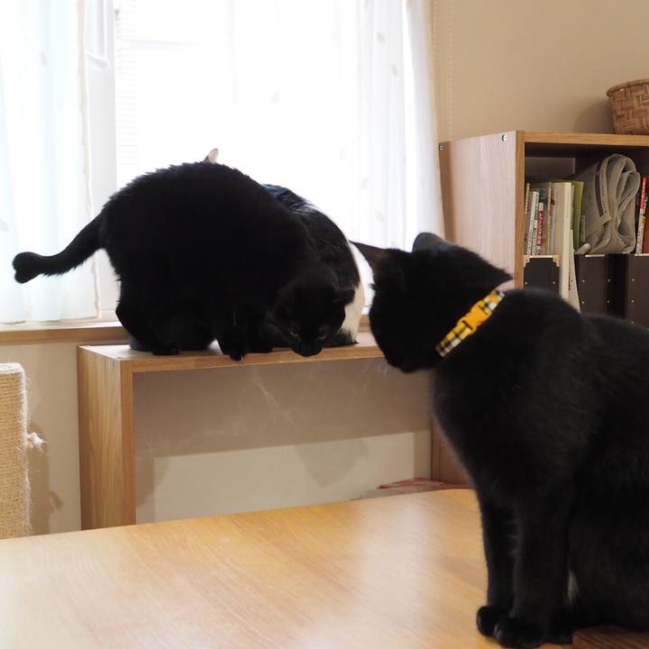 5cddb78e db28 479a ae1b a93e60eb1e1b 1542193018559