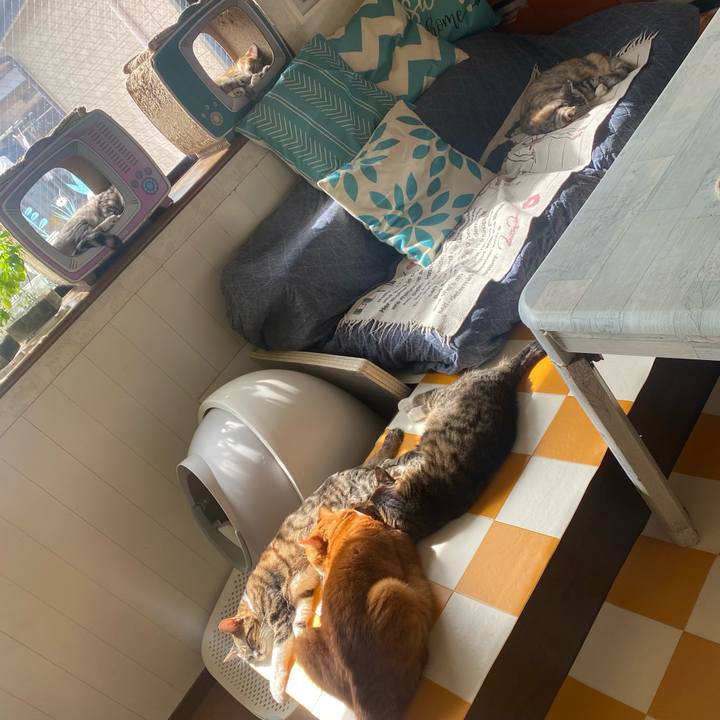 5cddc47a 757f 4690 a266 28da4dd2a9f6 1696729955909