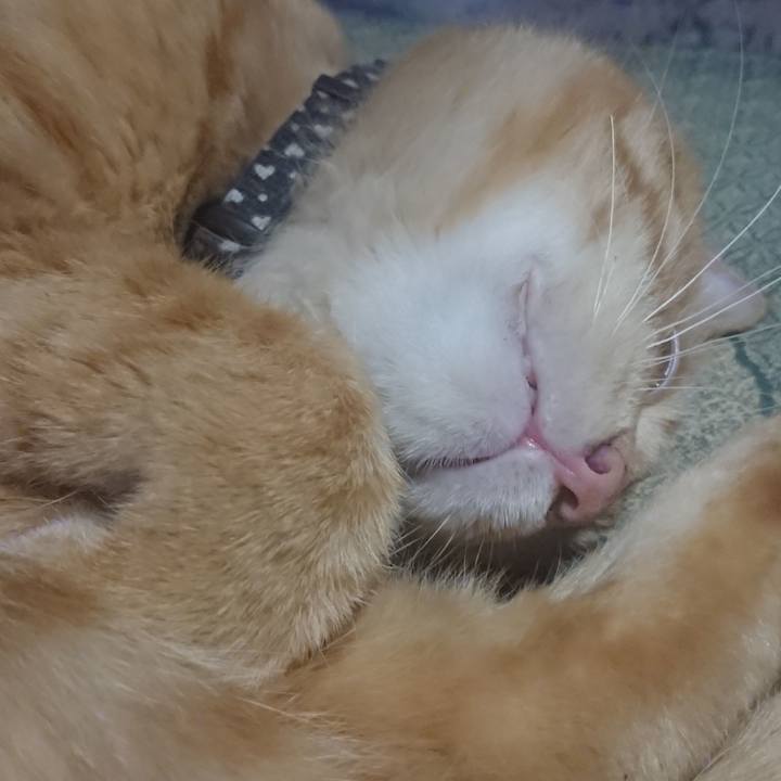 5cde21f3 d684 4398 98cb d7a1d38fca61 1660829705759