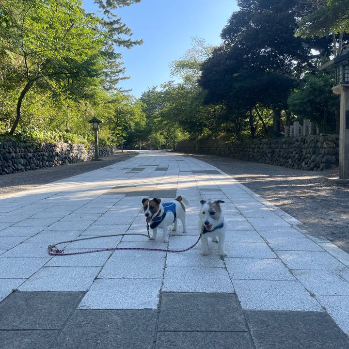 5cde2783 1b31 4111 9780 c3fd68311c6e 1753740828910